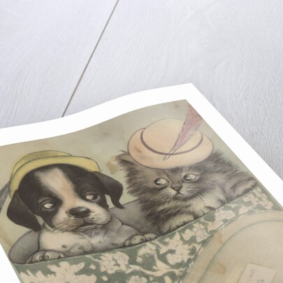 Puppy and kitten in hat box wearing hat by Anonymous