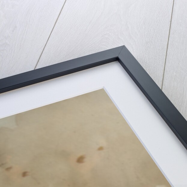 Four kittens on a toboggan by Anonymous