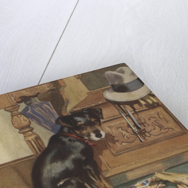 Dog waiting to go for walk by Anonymous