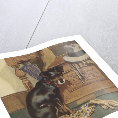 Dog waiting to go for walk by Anonymous