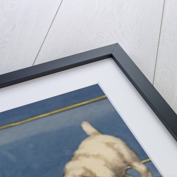 Dogs playing with rug by Anonymous