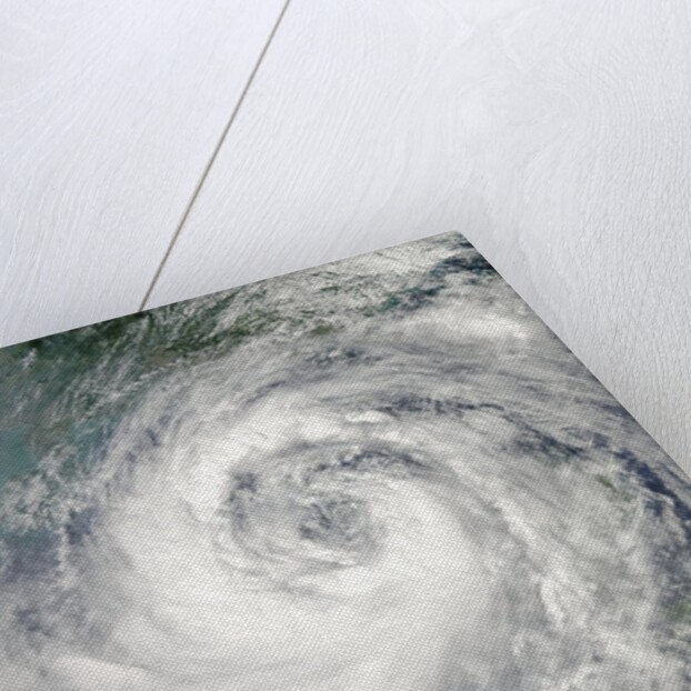 Typhoon Nesat by Anonymous