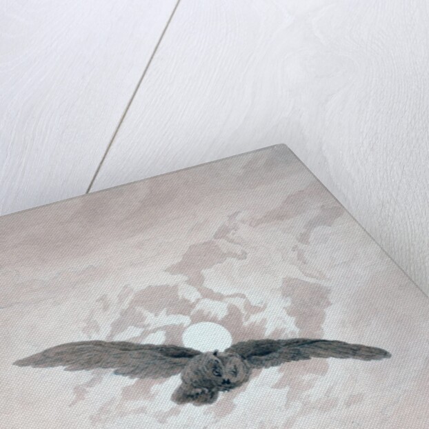 Owl Flying against a Moonlit Sky by Caspar David Friedrich