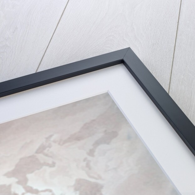 Owl Flying against a Moonlit Sky by Caspar David Friedrich