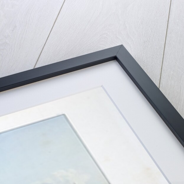 Funeral Scaffold of a Sioux Chief near Fort Pierre by Karl Bodmer