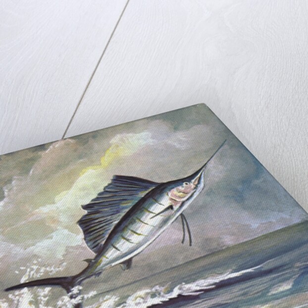 Leaping sailfish by Anonymous