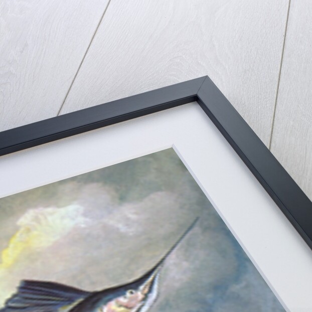 Leaping sailfish by Anonymous