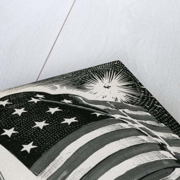 American flag flying over Fort McHenry by Anonymous