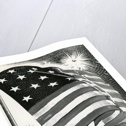 American flag flying over Fort McHenry by Anonymous