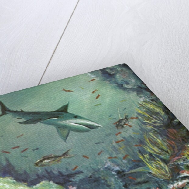 Shark swimming in a coral reef by Anonymous