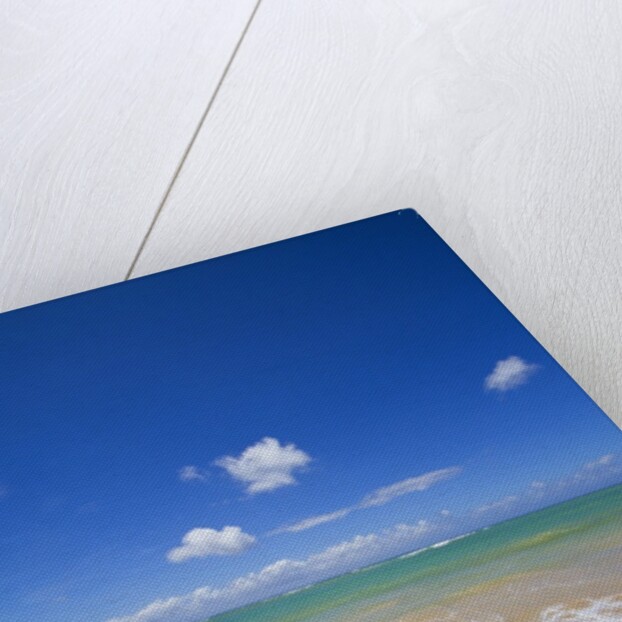 Gentle waves breaking on the north shore of Maui by Anonymous