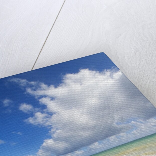 Beach chairs beckon on Baldwin Beach on the north shore of Maui, Hawaii by Anonymous