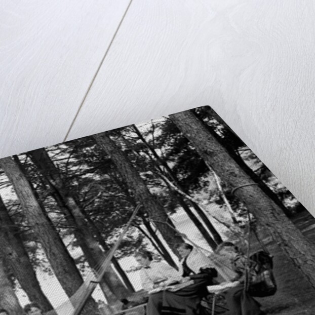 The family has picnic among the pines, ca. 1900. by Anonymous