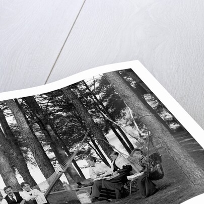 The family has picnic among the pines, ca. 1900. by Anonymous