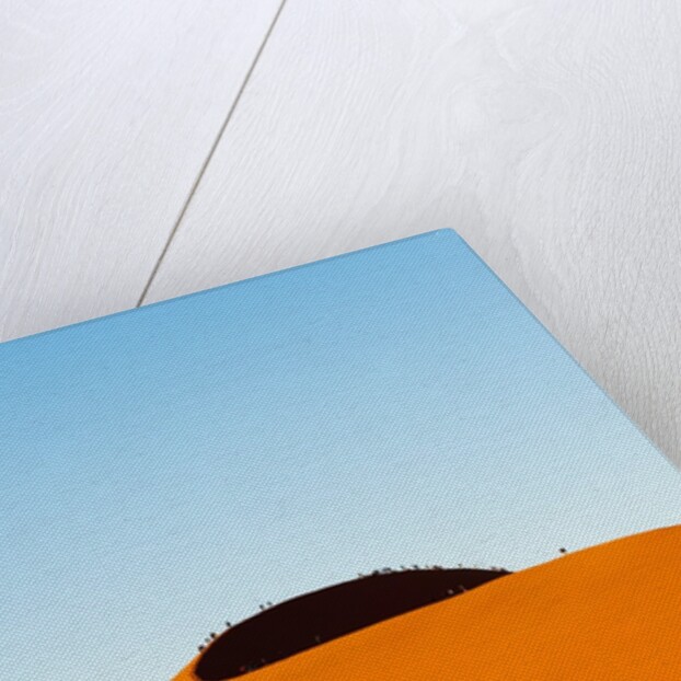 Dune 45, Sossusvlei, Namibia. by Anonymous