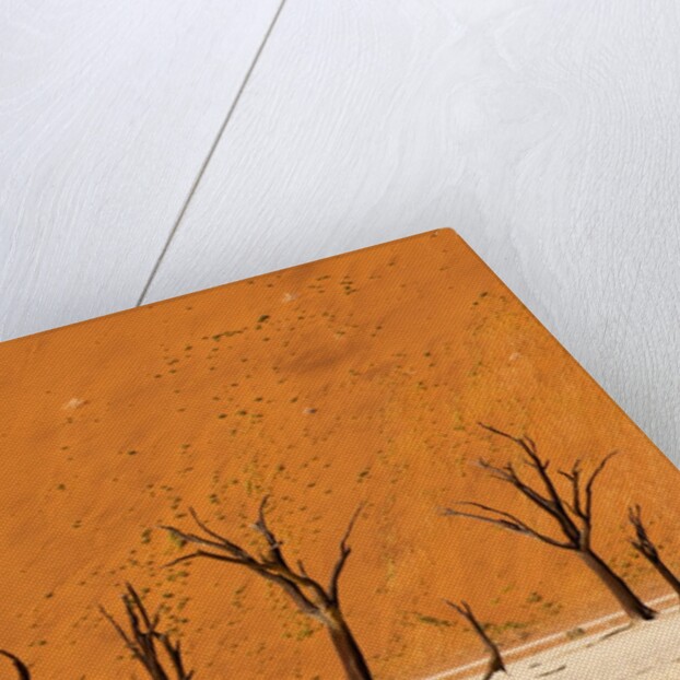 Deadvlei, Namibia by Anonymous