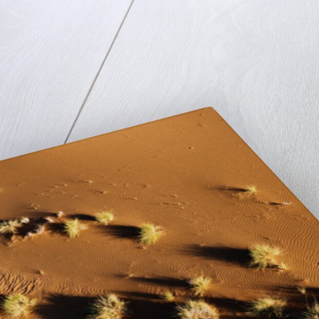 Aerial view, Namib Desert, Namibia. by Anonymous