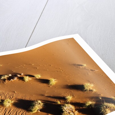 Aerial view, Namib Desert, Namibia. by Anonymous