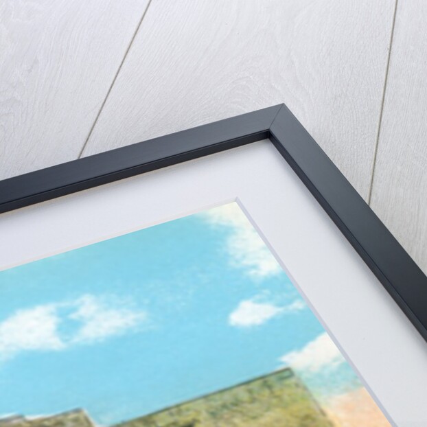 The Alamo in San Antonio by Anonymous