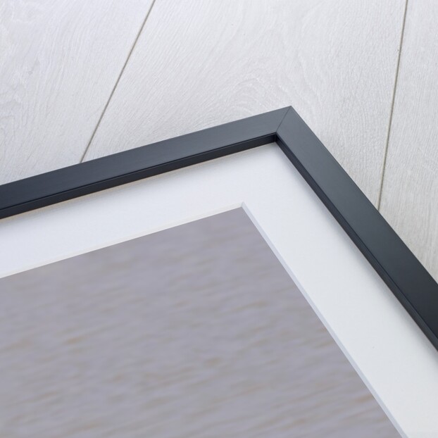 Gemsbok oryx (Oryx gazella gazella) by Anonymous