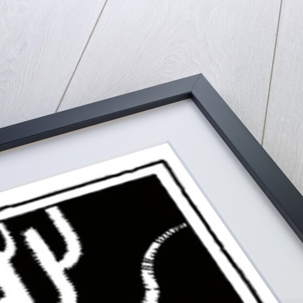 Symbols of the Old American West by Anonymous