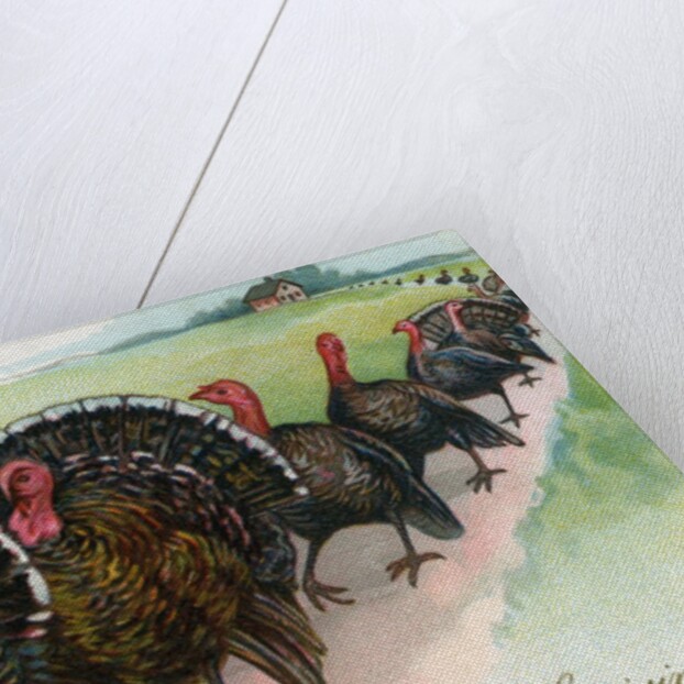 Thanksgiving turkeys marching in line by Anonymous