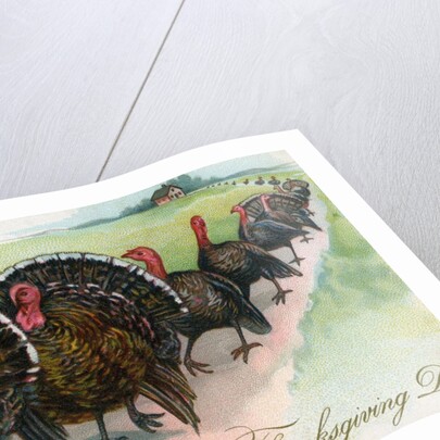 Thanksgiving turkeys marching in line by Anonymous