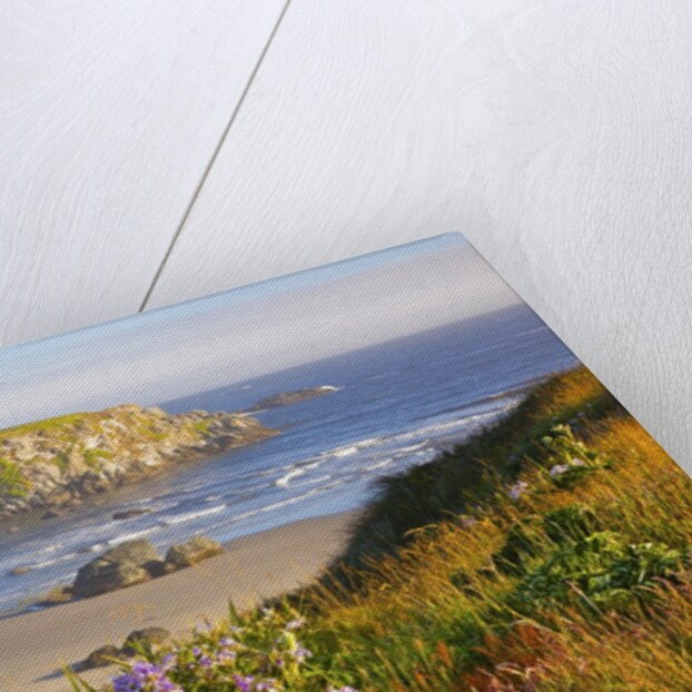 Morning light adds beauty to wildflowers and fog covered rock formations at Bandon State Park, Orego by Anonymous