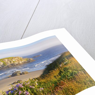 Morning light adds beauty to wildflowers and fog covered rock formations at Bandon State Park, Orego by Anonymous