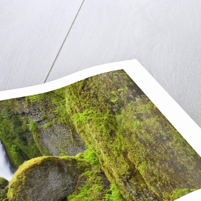 Tanner Creek Falls, Columbia River Gorge National Scenic Ates, Oregon by Anonymous