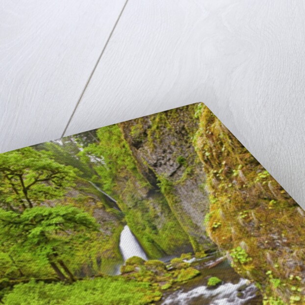Tanner Creek Falls, Columbia River Gorge National Scenic Ates, Oregon by Anonymous