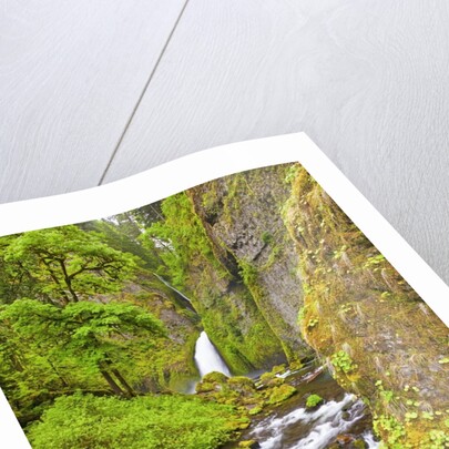 Tanner Creek Falls, Columbia River Gorge National Scenic Ates, Oregon by Anonymous