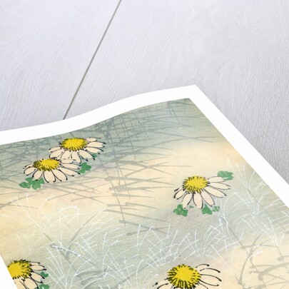 Woodblock print of daisy blossoms and grass by Anonymous
