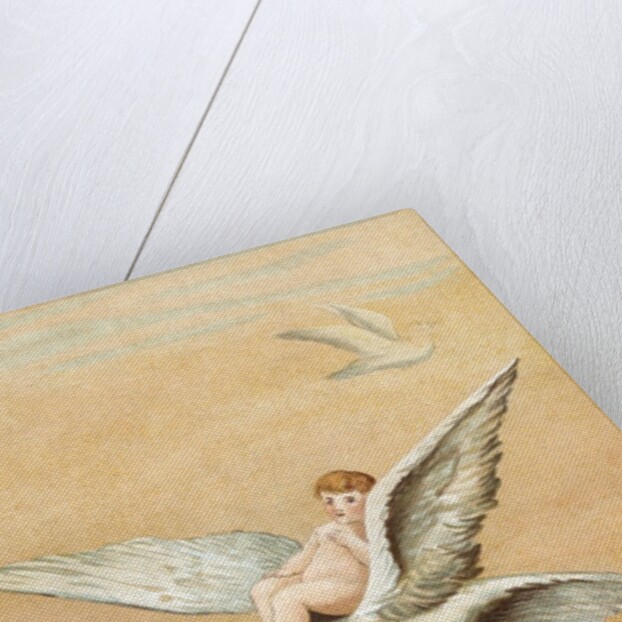 Fairy riding a white dove by Anonymous