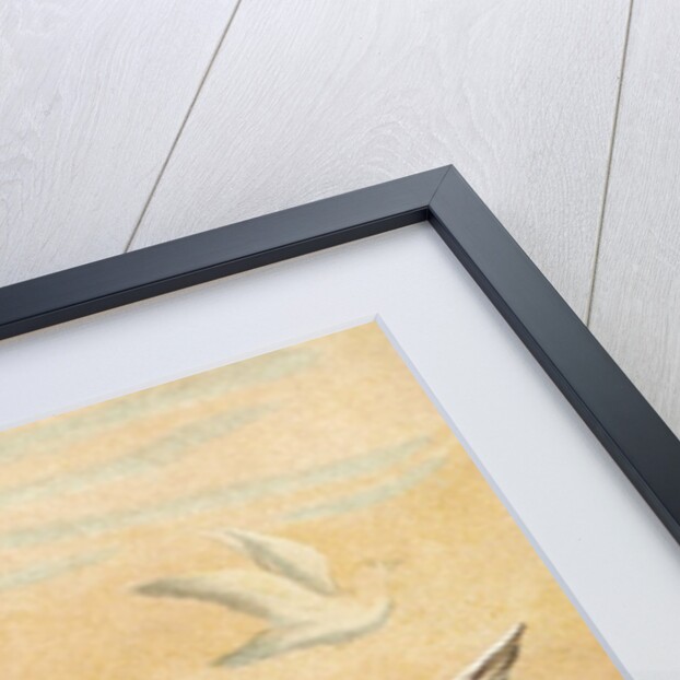 Fairy riding a white dove by Anonymous