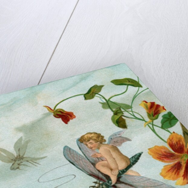 Winged fairy riding a dragonfly near nasturtium blooms by Anonymous