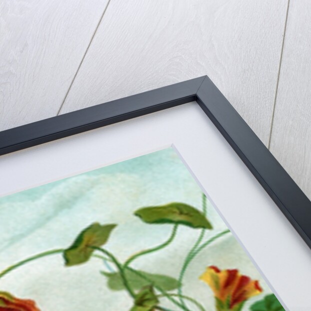 Winged fairy riding a dragonfly near nasturtium blooms by Anonymous