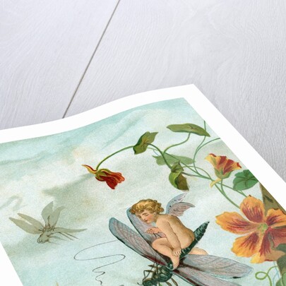 Winged fairy riding a dragonfly near nasturtium blooms by Anonymous