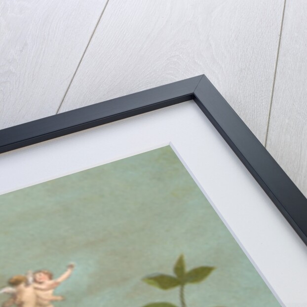 Fairies frollicking among daisies and a butterfly by Anonymous