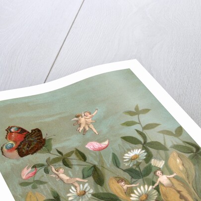 Fairies frollicking among daisies and a butterfly by Anonymous