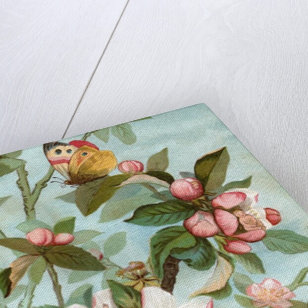 Fairies hiding in rose blossoms by Anonymous