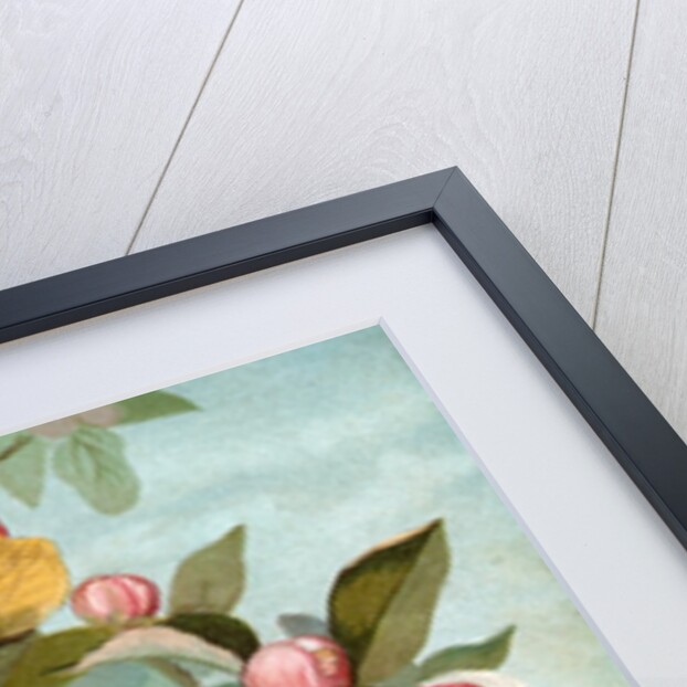 Fairies hiding in rose blossoms by Anonymous