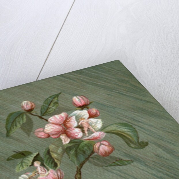 Fairies hiding in rose blossoms in the rain by Anonymous