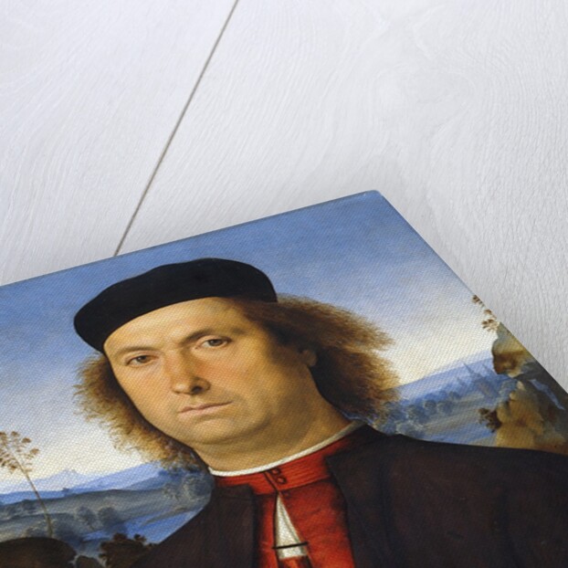 Portrait of Francesco delle Opere by Perugino