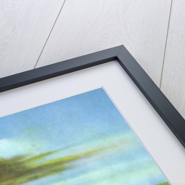 The Mississippi steamboat Magnolia by Anonymous