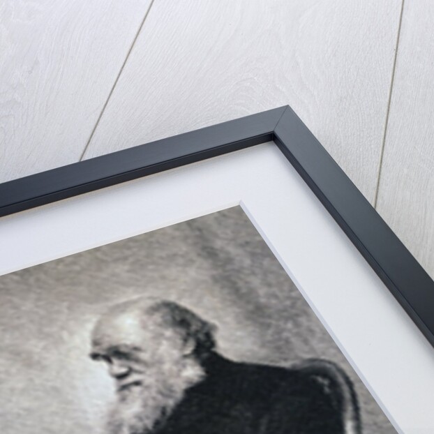 Portrait of Charles Darwin by Anonymous