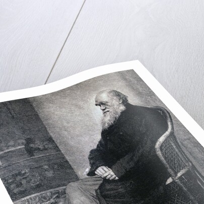 Portrait of Charles Darwin by Anonymous