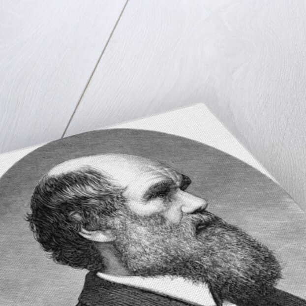 Portrait of Charles Darwin from The Origin of Species by Anonymous