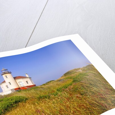 Morning light adds beauty to fog and Coquille River Lighthouse, Bandon, Oregon Coast, Pacific Ocean, by Anonymous