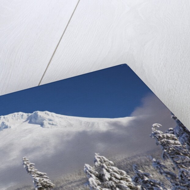 winter snow adds beauty to Mt. Hood, Oregon. Oregon Cascades. by Anonymous